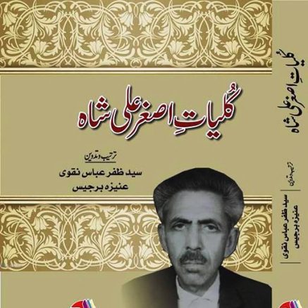 بیس اکتوبر : سید اصغر علی شاہ کی برسی ۔۔ پروفیسر سید ظفر عباس نقوی