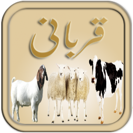 qurbani