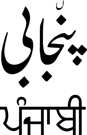 Punjabi example