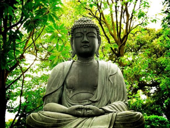 budha