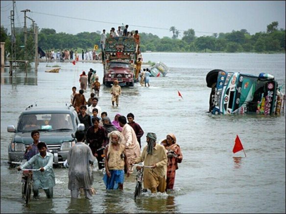 taunsa flood