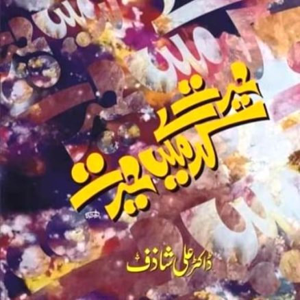 حیرت کدے میں حیرت ۔۔ایک فکر افروز کتاب کا ظہور : رضا مہدی باقری کا تبصرہ hayrat kaday