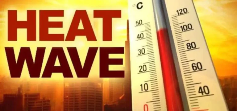 کراچی میں گرمی سے مرنے والوں کی تعداد 20 ہوگئی، 150 مویشی ہلاک heat wave