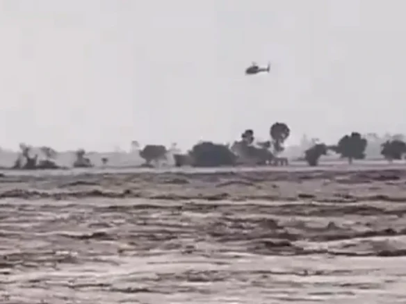 پنجاب میں سیلاب: شجاع آباد، رحیم یار خان، راجن پور اور وہاڑی کے سیکڑوں دیہات ڈوب گئے punjab flood and rain 2025