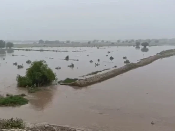 flood chanab