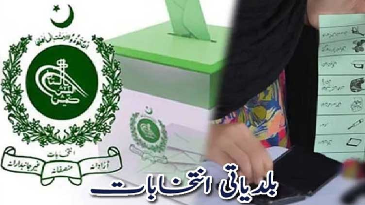 بلدیاتی اداروں کی غیر فعالیت اور عوامی مسائل : شہزاد عمران خان کا اختصاریہ local body election