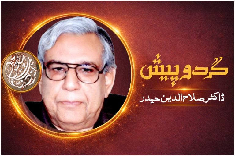 شاعری ، موسیقی اور خاموشی کی ثقافت : ڈاکٹر صلاح الدین حیدر کا اختصاریہ new logo salah ud din