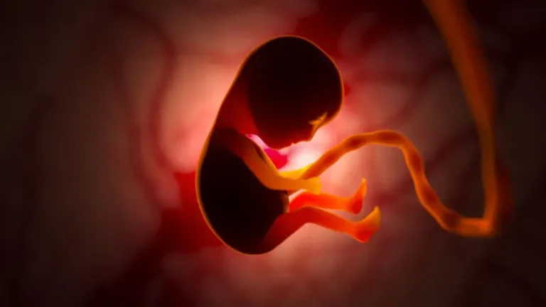 ovary