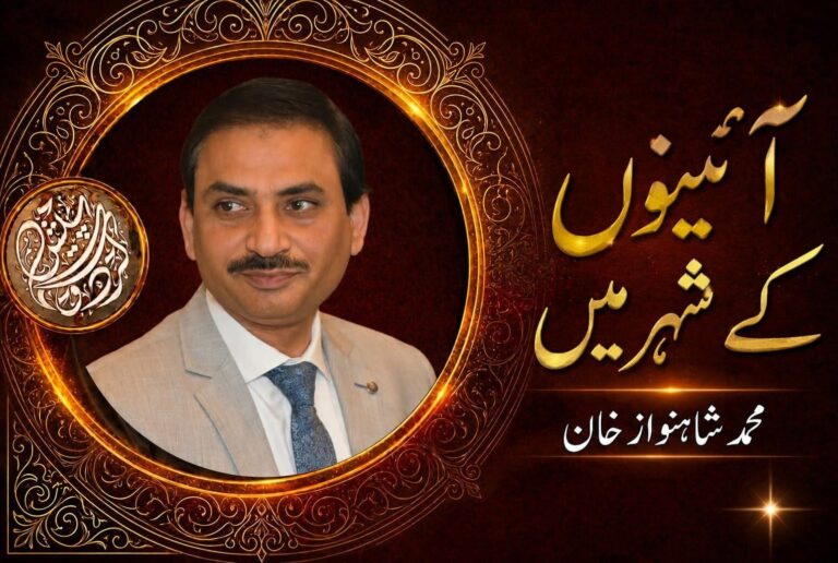 نئے صوبوں سے پہلے مضبوط مقامی حکومتیں کیوں ضروری ہیں؟ شاہنواز خان کا کالم shahnawaz khan logo